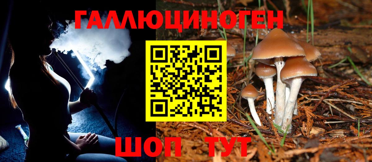 Псилоцибиновые грибы Magic Shrooms Карасук
