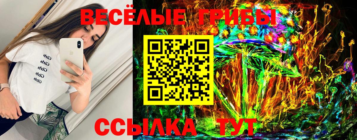Карасук  Псилоцибиновые грибы MAGIC MUSHROOMS  Вход с VPN 